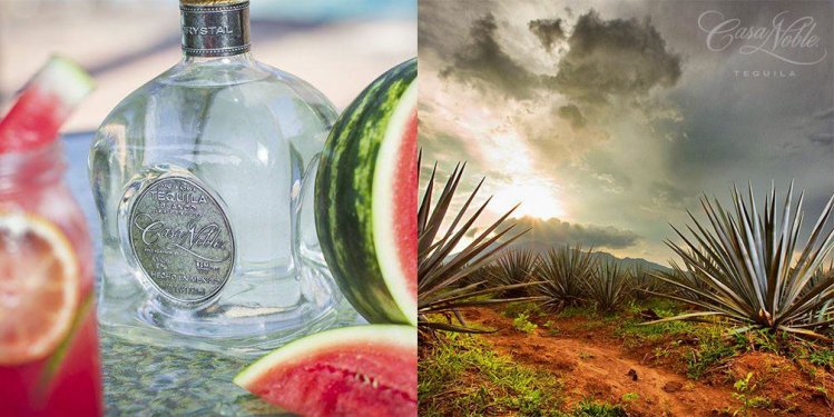 A glass of Casa Noble Tequila