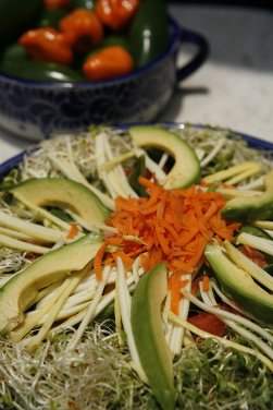 The best Avocado salad in Sarasota
