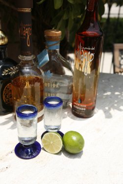 Tequila Shots Sarasota, Venice